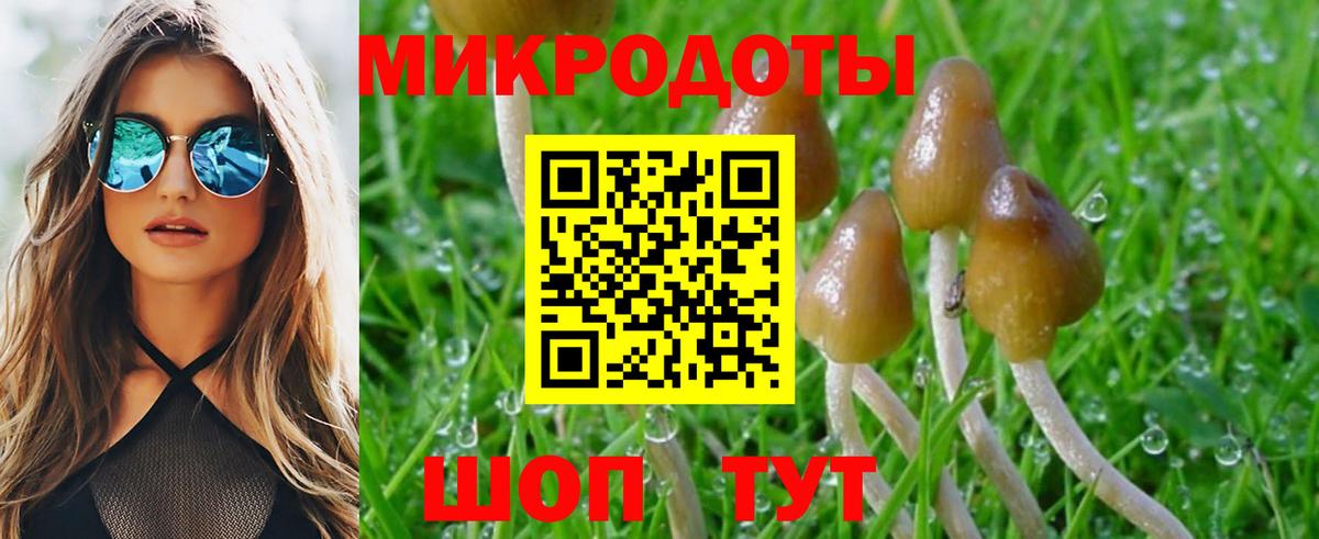 Галлюциногенные грибы Psilocybine cubensis Щёлково
